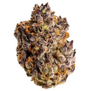 Award Winning Mega Blackcherry- Indica