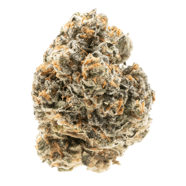 Bud Naked - Blue Zushi- Indica