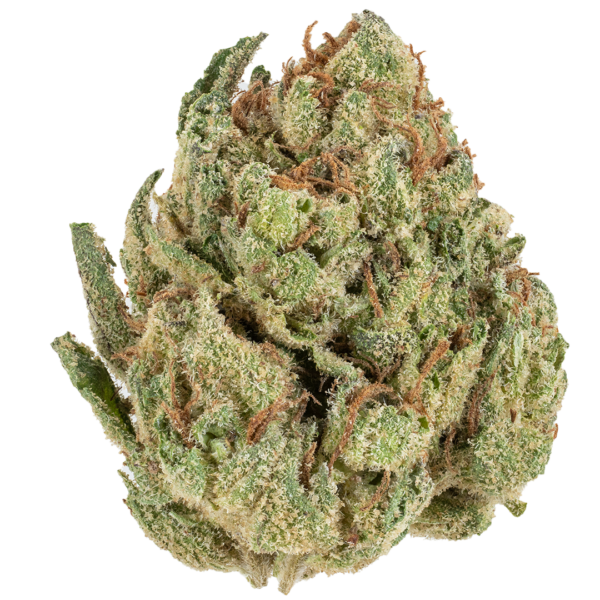 Lemon Cherry Haze- Sativa