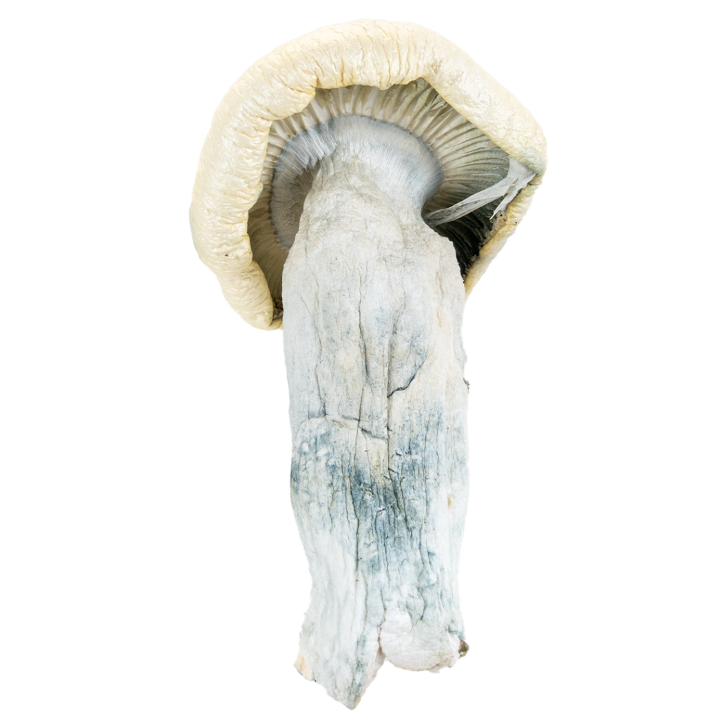 Bud Naked Carts | Buy Bud Naked Disposable | Bud Naked Flower