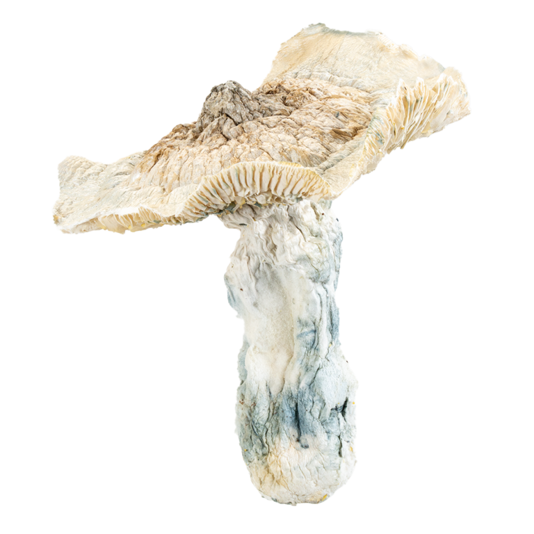 Bud Naked Carts | Buy Bud Naked Disposable | Bud Naked Flower