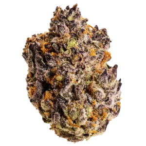 BudNaked - Knockout Champ- Award Winning- Hybrid