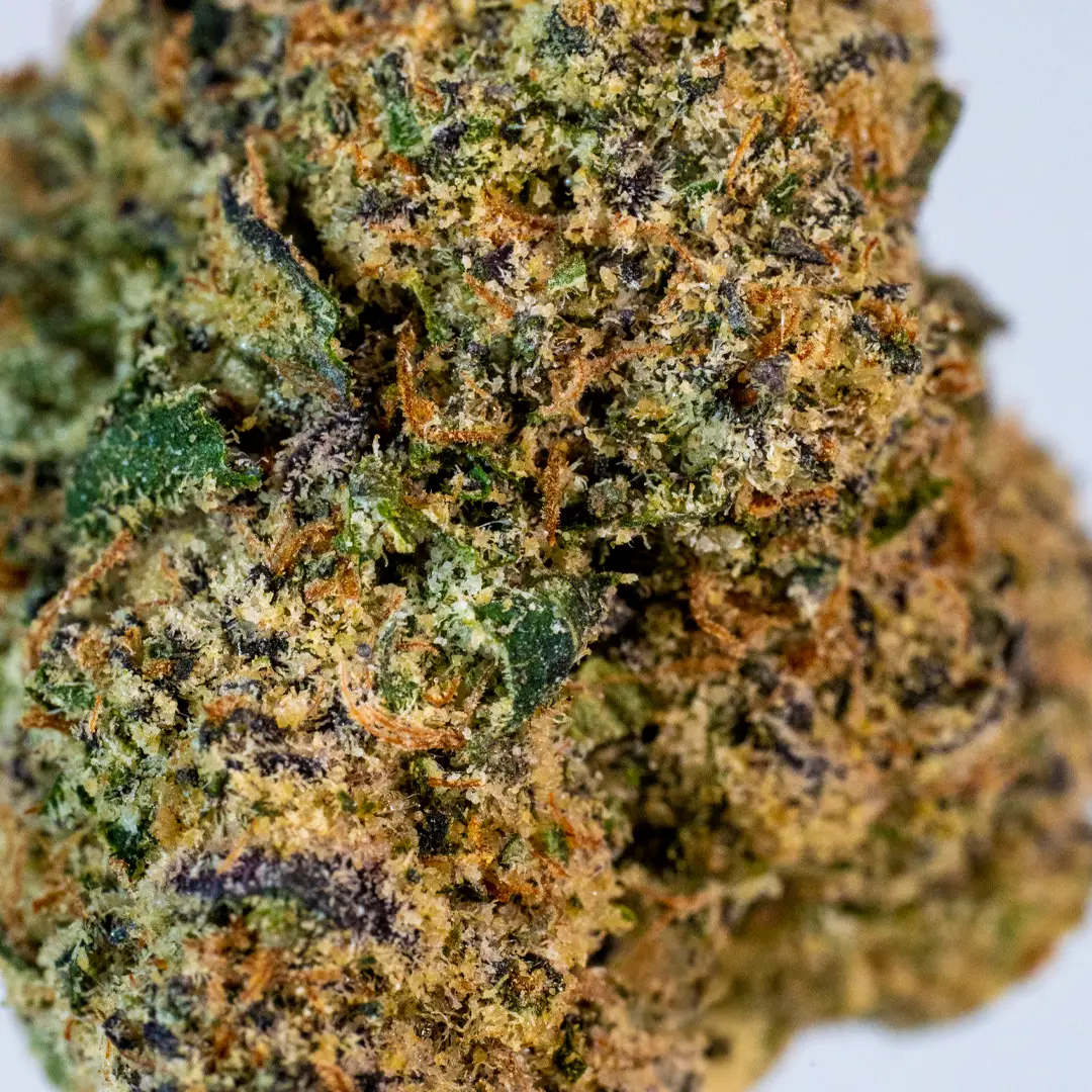 BudNaked - Doc Holliday - Indica