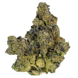 BudNaked - Super Champ- Award Winning- Hybrid