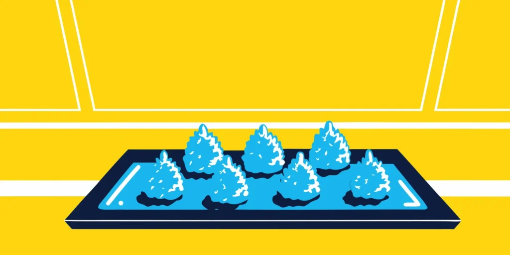 4 Best Shops for Premium Cannabis Buds Online