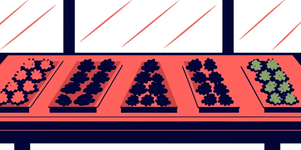 9 Best Cannabis Flower Strains of 2026: Top Sellers Ranked