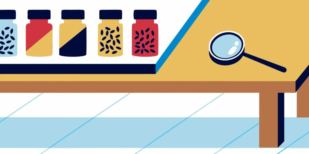 A Guide to Small Batch Cannabis Products