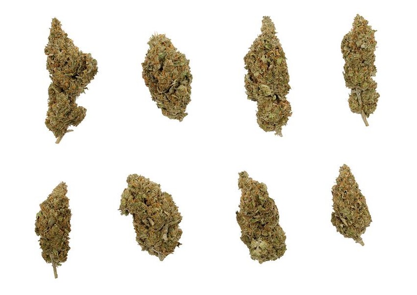 Top 10 Strongest Strains of All Time